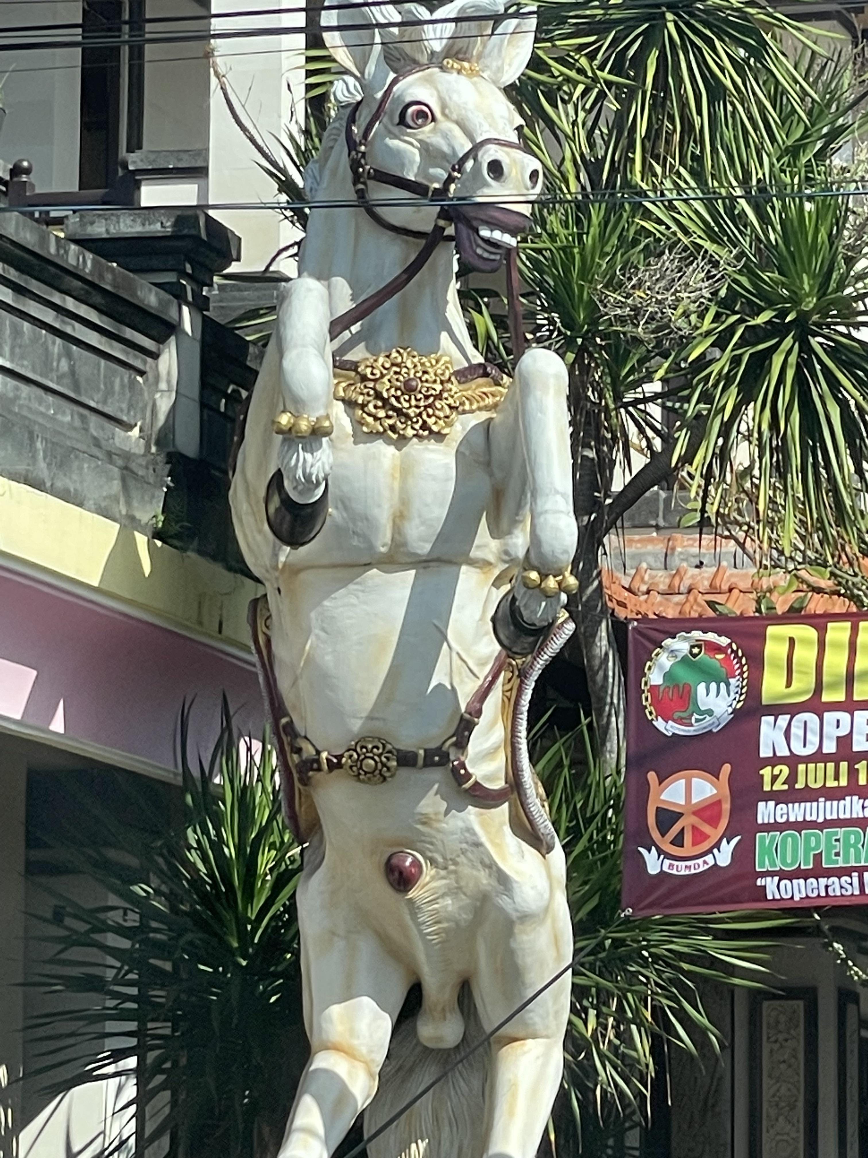 Random Image
